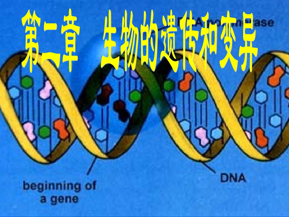 基因控制性状_第3页