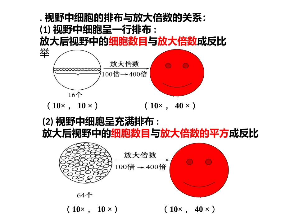 细胞的多样性和统一性（2）_第2页