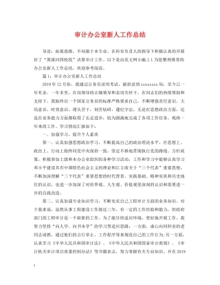 审计办公室新人工作总结