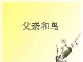 《父亲和鸟》课件2