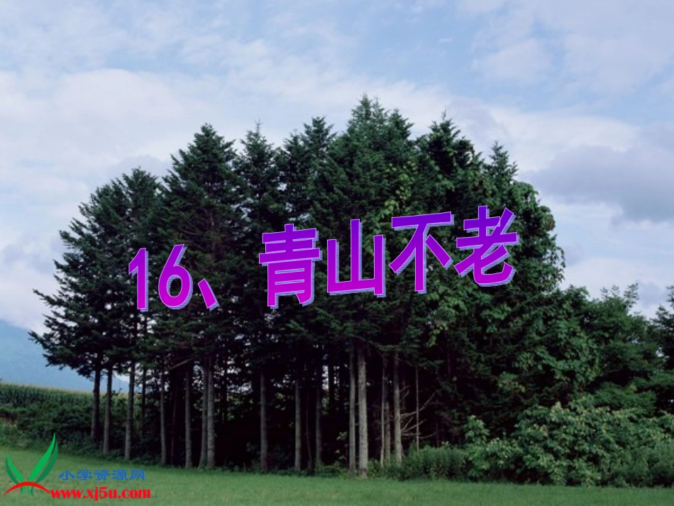 青山不老PPT优质课课件_第1页