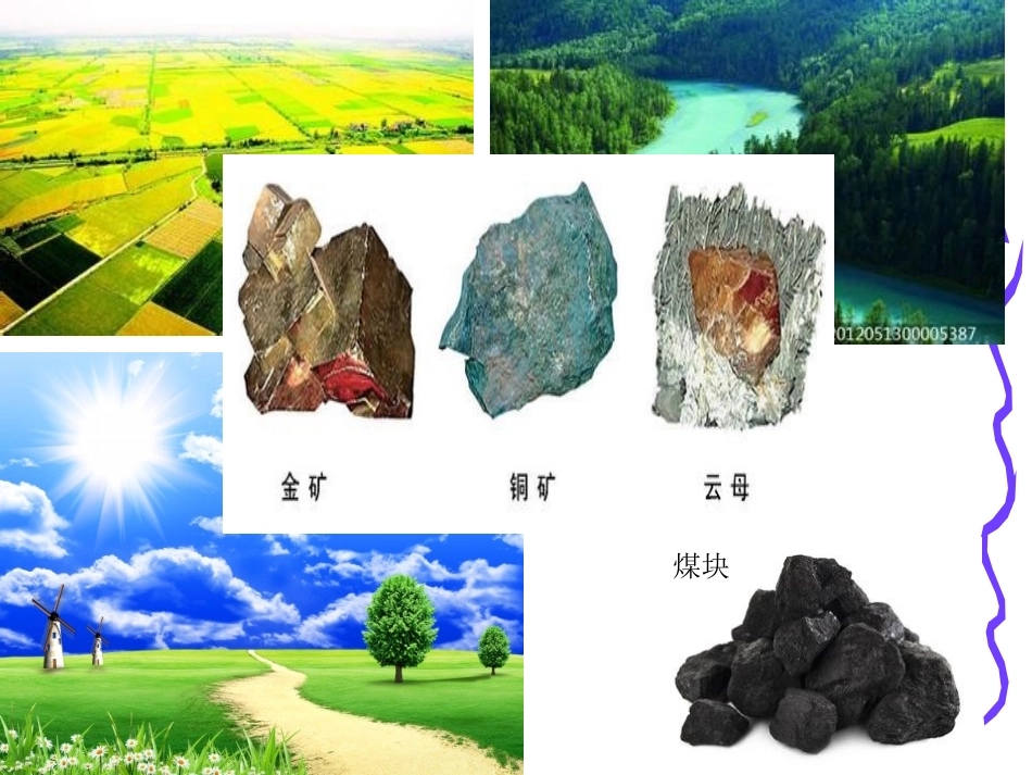 中国的自然资源_第2页