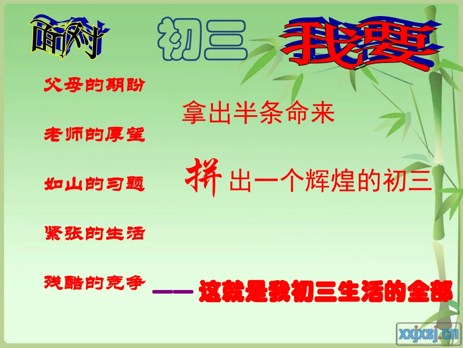 初三主题班会走进初三-青春无悔_第3页