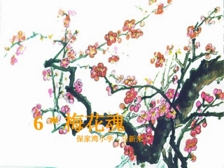 梅花魂课件马新来