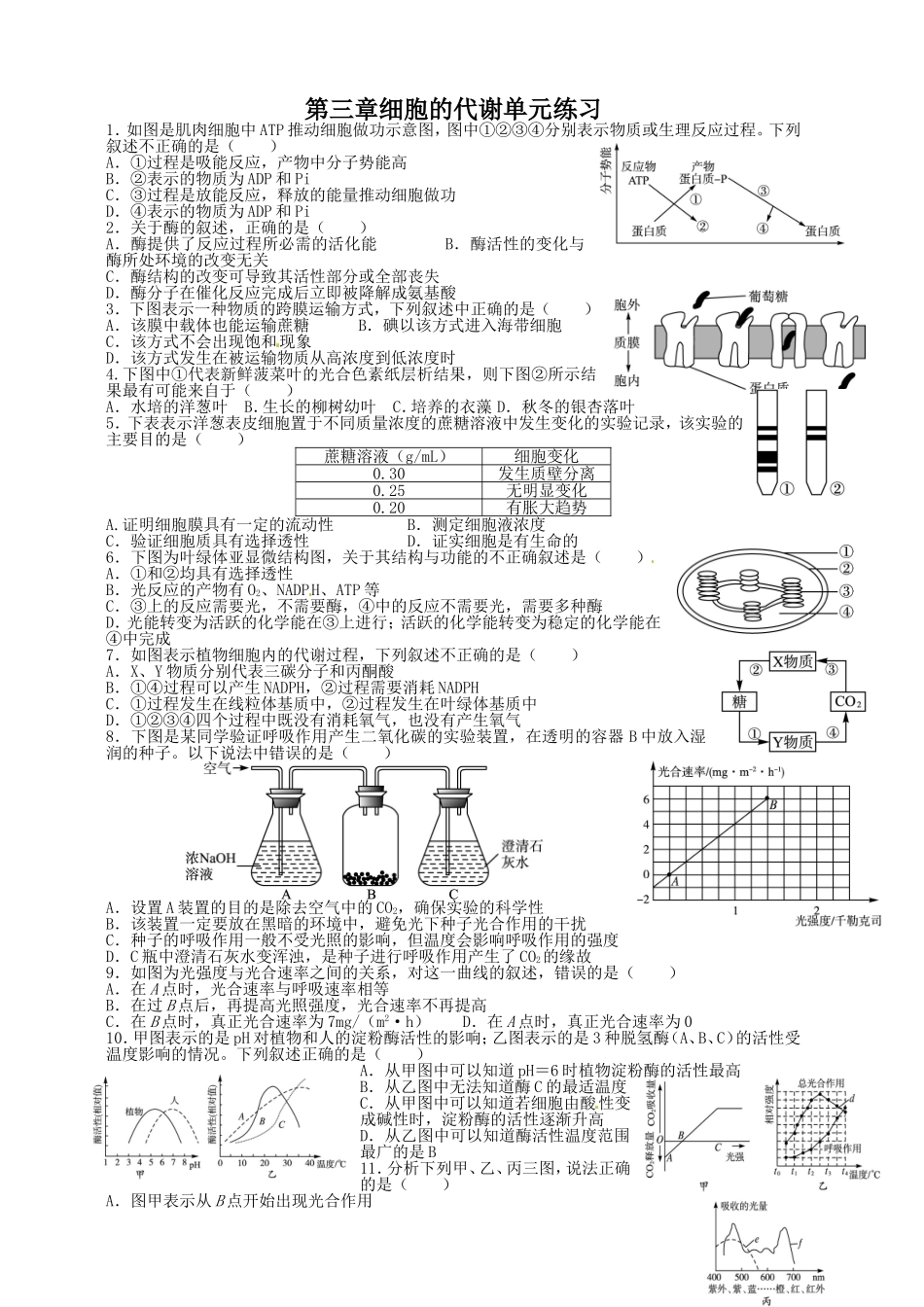 第三章细胞的代谢单元练习_第1页