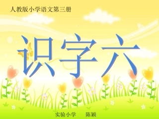 识字六 (2)