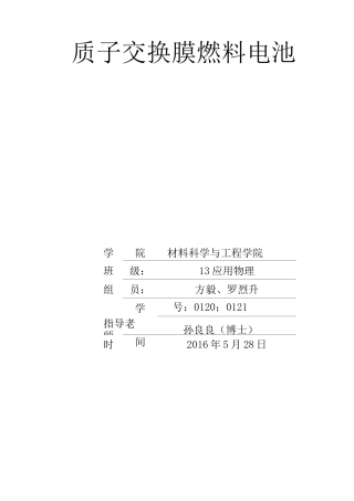 质子交换膜燃料电池