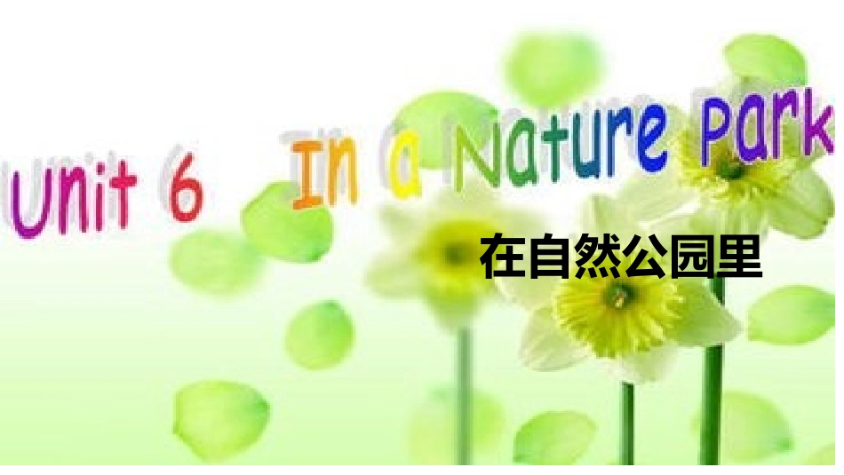 pep五上unit6in_第1页