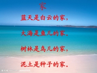 《浅水洼里的小鱼》PPT课件