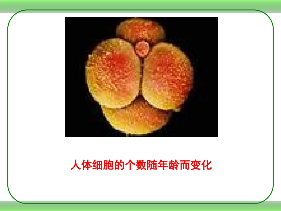 常量与变量精_第3页