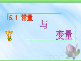 常量与变量精