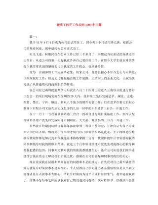 新员工转正工作总结1000字三篇