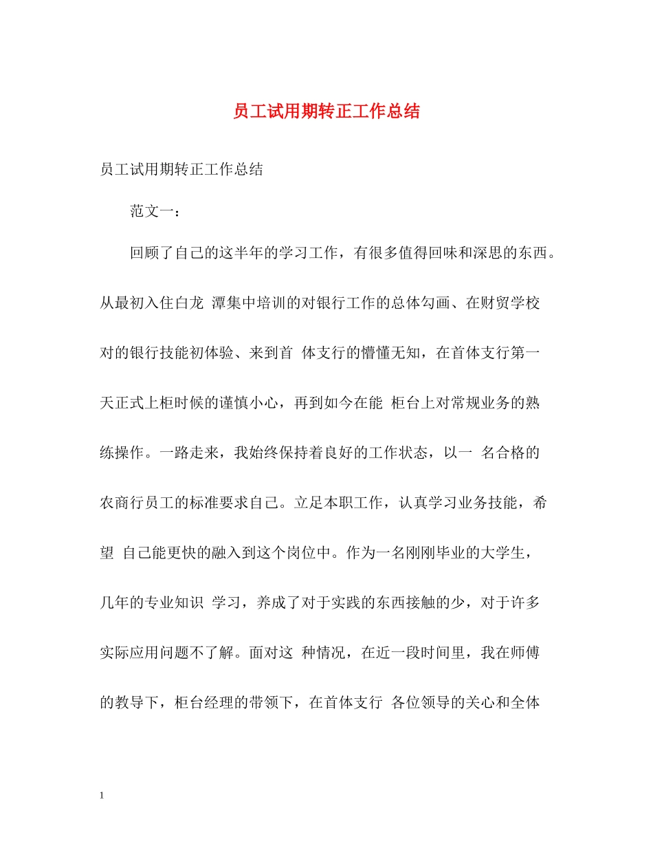 员工试用期转正工作总结_第1页
