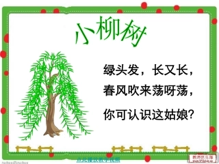 小柳树和小枣树课件