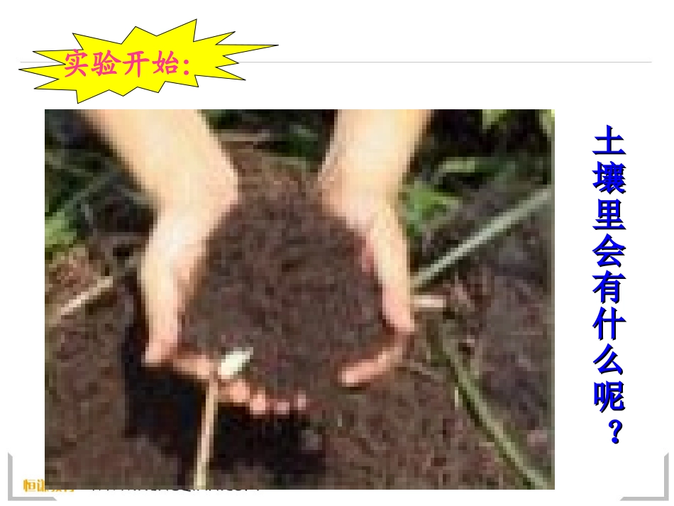 科学五年级上教科版34土壤中有什么课件_第2页