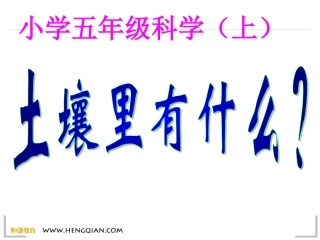 科学五年级上教科版34土壤中有什么课件