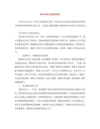 审计年终工作总结范本