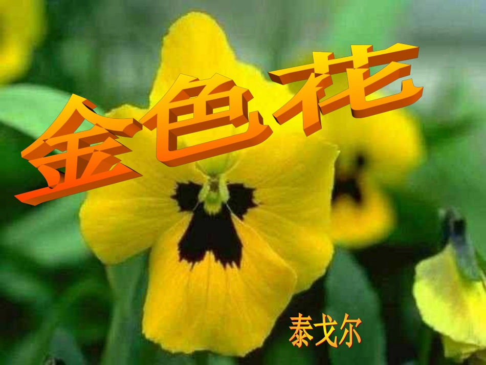 金色花上课用_第3页