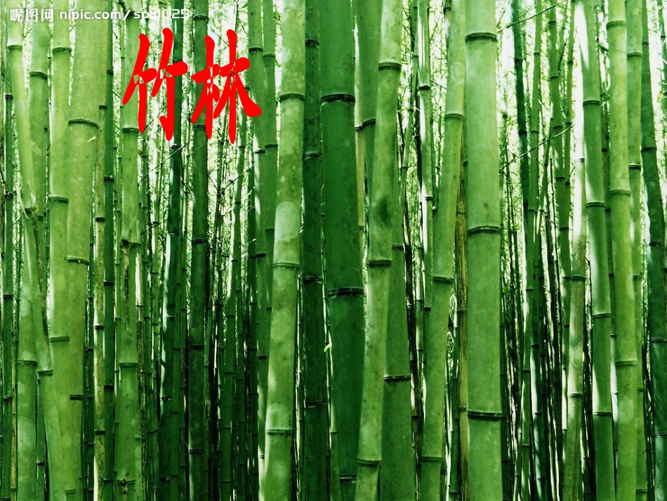 《汉字家园_⑤》_第2页