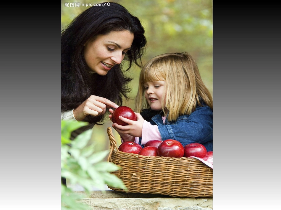 荷叶母亲 (4)_第2页