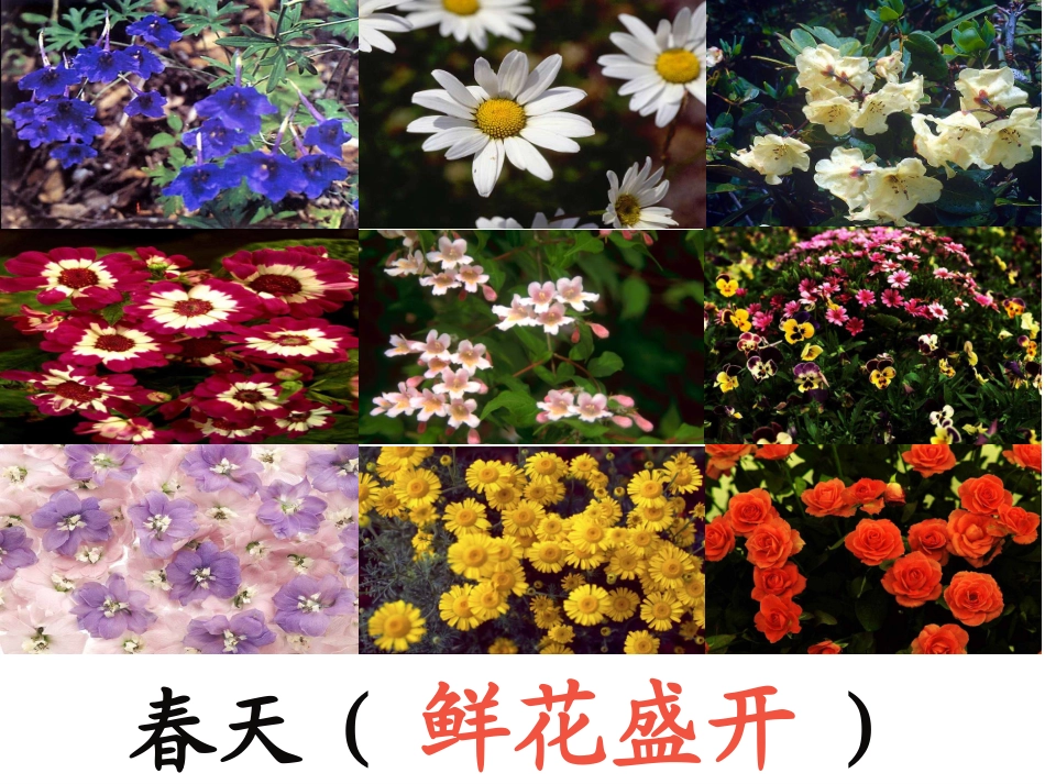 《巨人的花园》课件 (3)_第2页