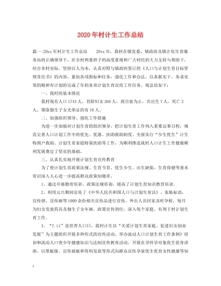 2020年村计生工作总结2