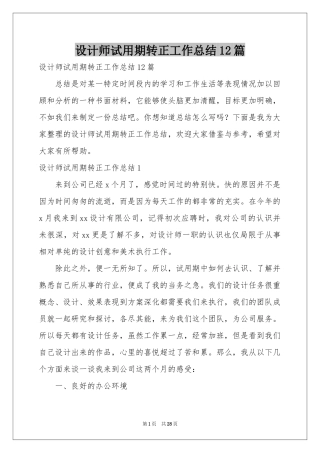 设计师试用期转正工作参考总结12篇