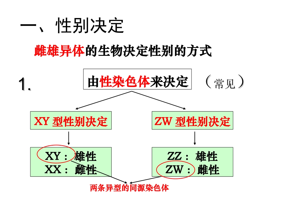 2016一轮复习性别决定和伴性遗传_第3页