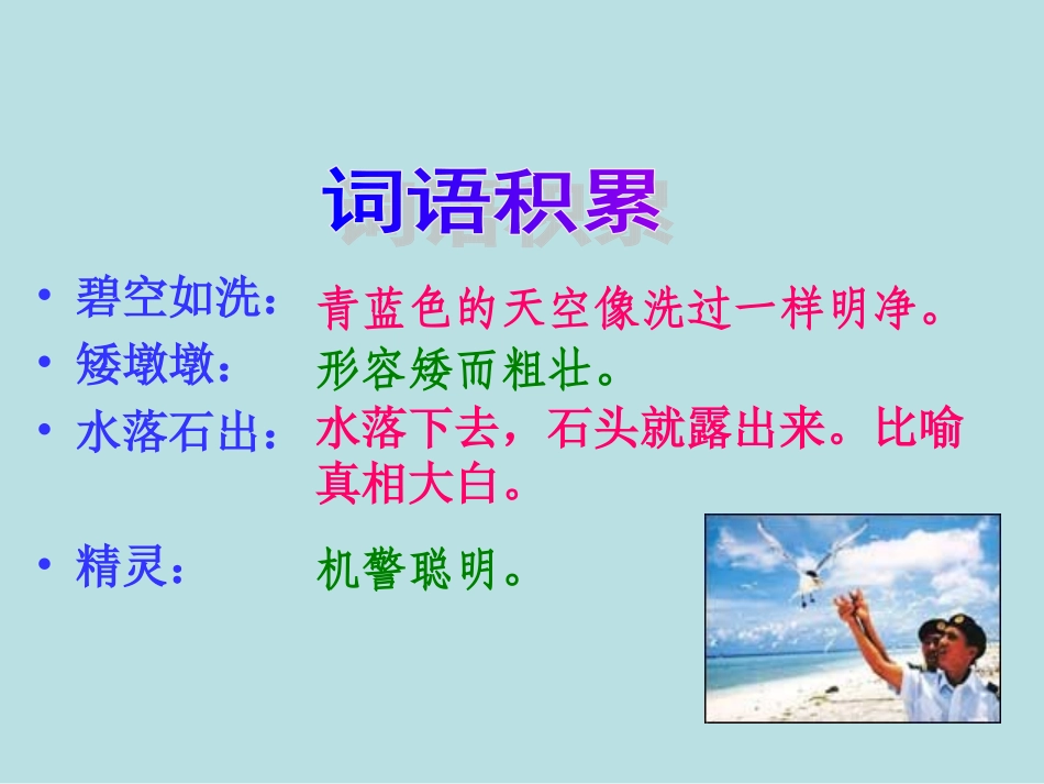 彩色的翅膀PPT课件_第3页