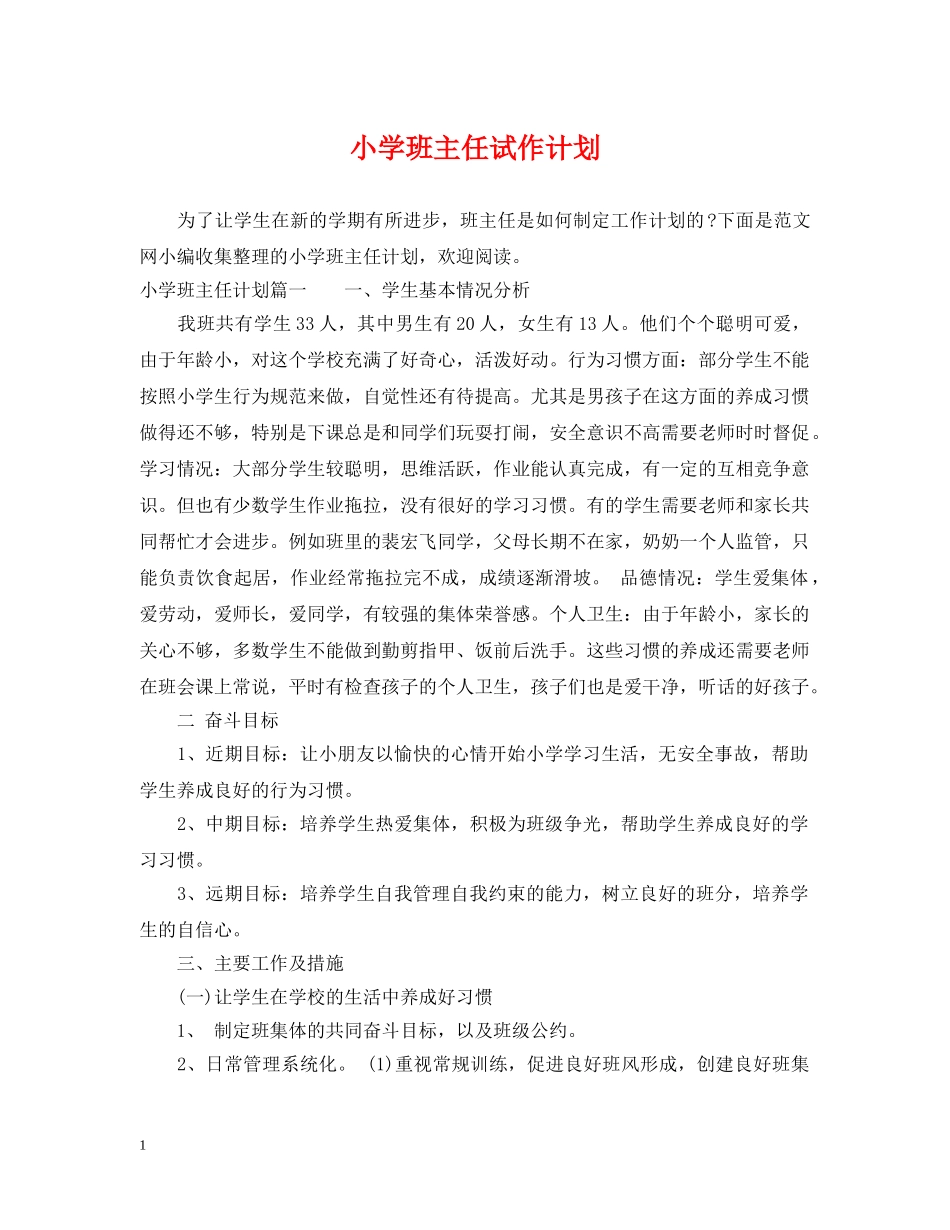 小学班主任试作计划 _第1页