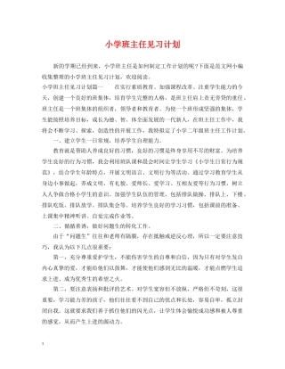 小学班主任见习计划 