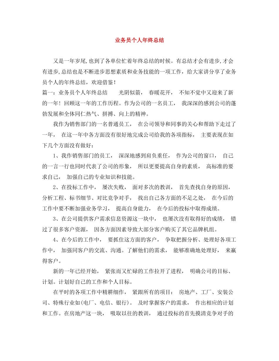业务员个人年终总结_第1页