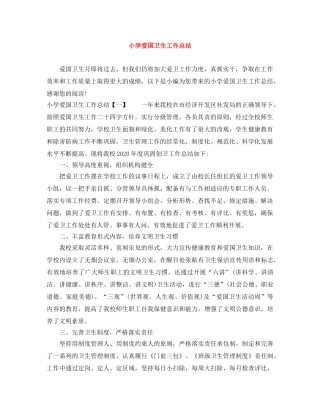 小学爱国卫生工作总结 