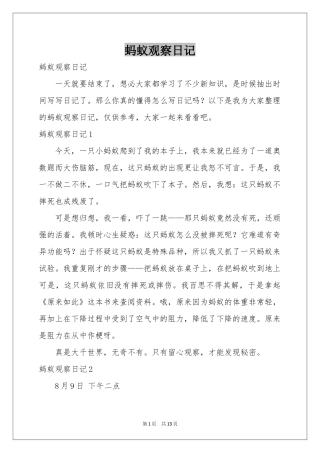 蚂蚁观察日记