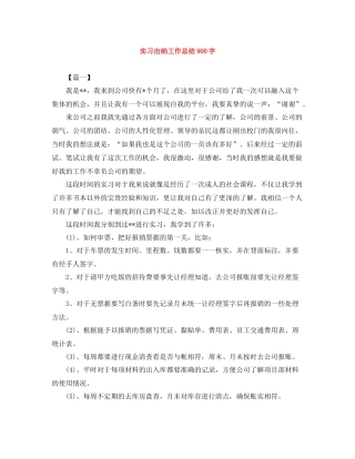 实习出纳工作总结900字