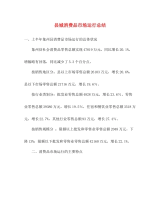 县城消费品市场运行总结