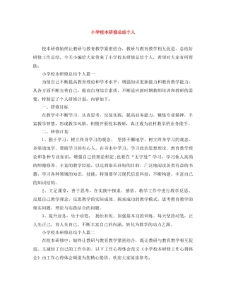 小学校本研修总结个人 