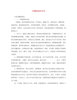 小学期末总结700字 