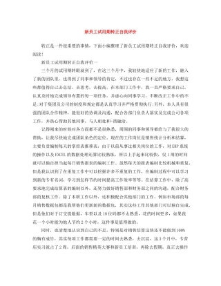 新员工试用期转正自我评价
