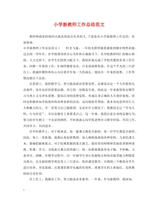 小学新教师工作总结范文 