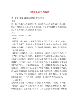 小学新会计工作总结 