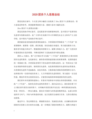 团员个人思想总结