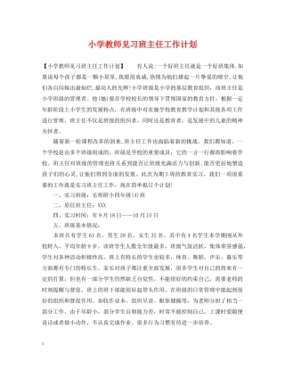 小学教师见习班主任工作计划 