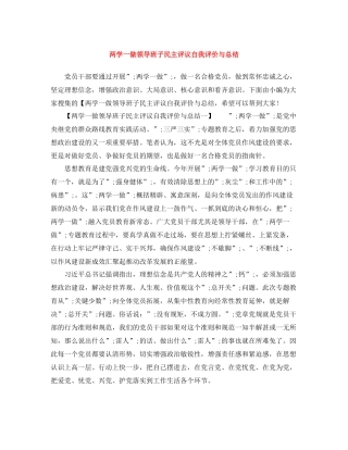 两学一做领导班子民主评议自我评价与总结