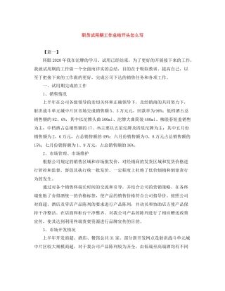 职员试用期工作总结开头怎么写