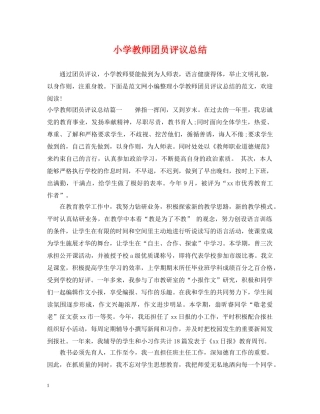 小学教师团员评议总结 
