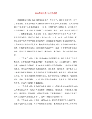 2020年统计员个人工作总结1)