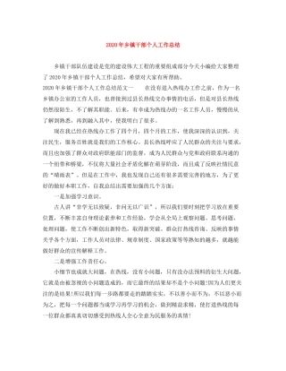 2020年乡镇干部个人工作总结