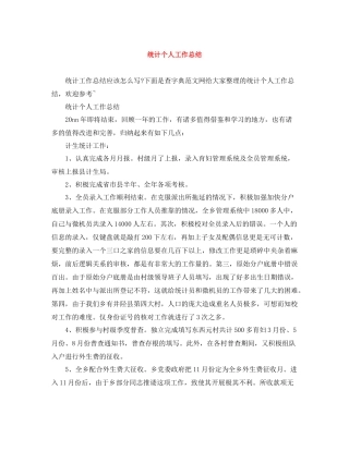 统计个人工作总结