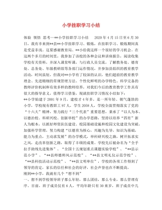 小学挂职学习小结 